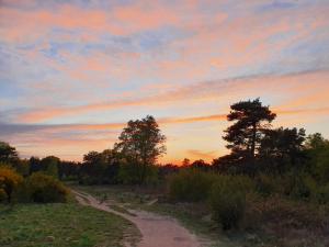 Annelies - 02 Zonsondergang hei Putten